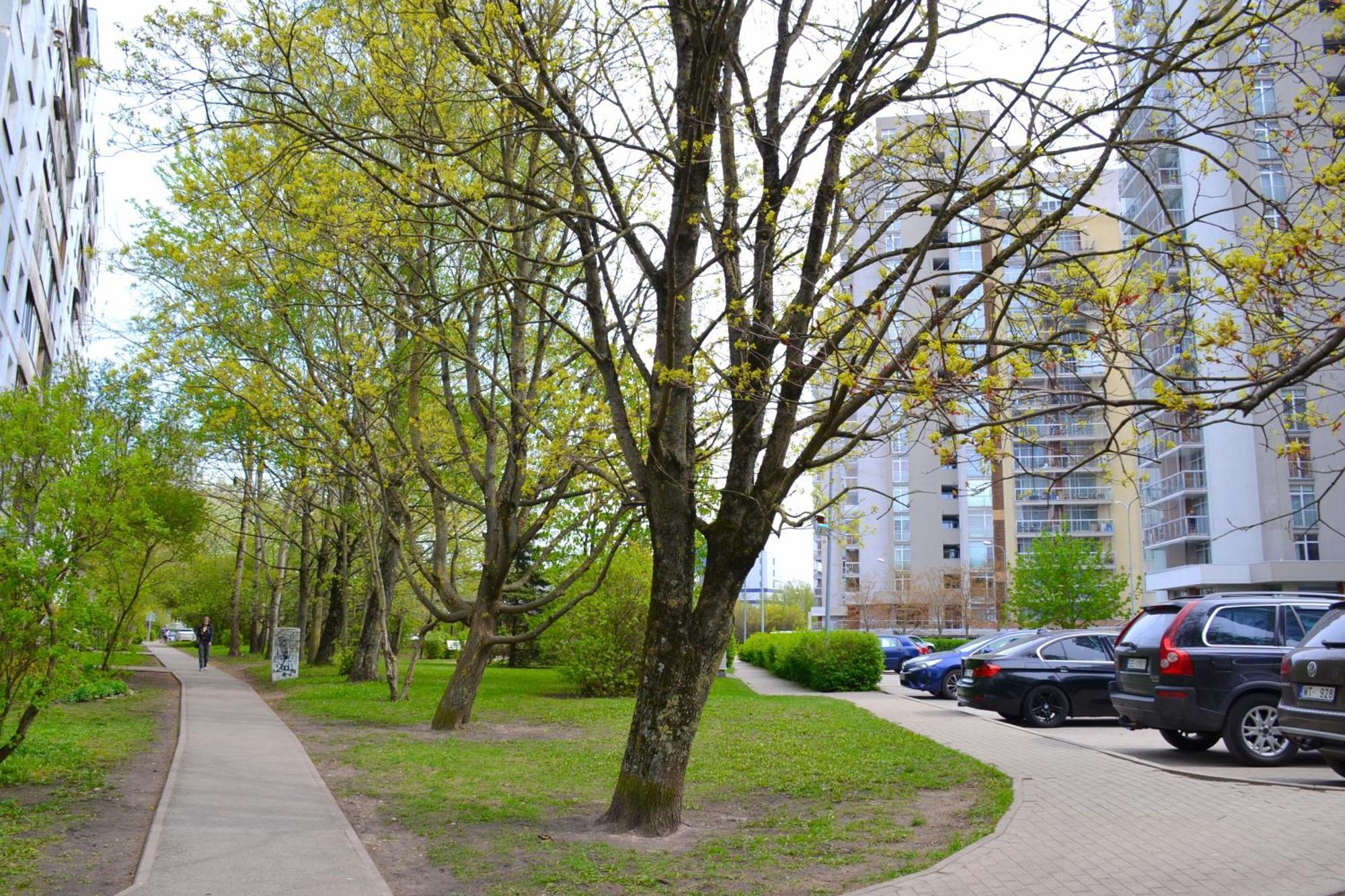 Imanta Apartment Riga 2Х Rooms 52М2 Luaran gambar